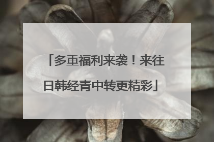 多重福利来袭！来往日韩经青中转更精彩