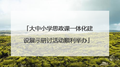 大中小学思政课一体化建设展示研讨活动顺利举办