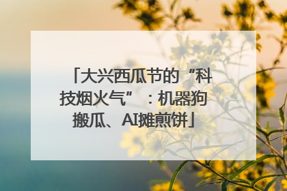大兴西瓜节的“科技烟火气”：机器狗搬瓜、AI摊煎饼