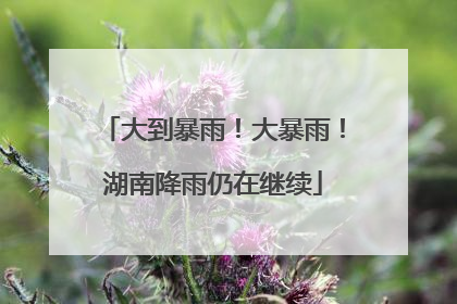 大到暴雨！大暴雨！湖南降雨仍在继续