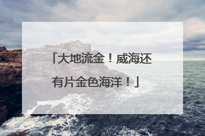 大地流金！威海还有片金色海洋！