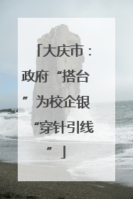 大庆市：政府“搭台”为校企银“穿针引线”