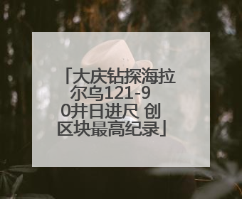 大庆钻探海拉尔乌121-90井日进尺 创区块最高纪录