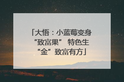 大悟：小蓝莓变身“致富果” 特色生“金”致富有方