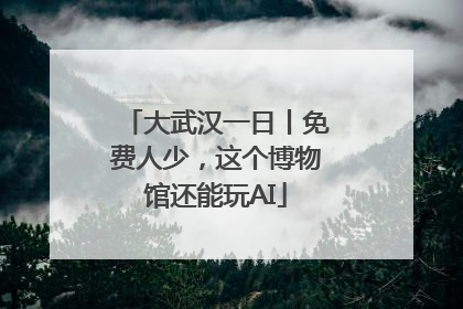 大武汉一日丨免费人少，这个博物馆还能玩AI