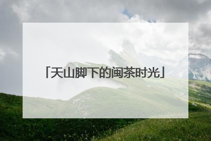 天山脚下的闽茶时光