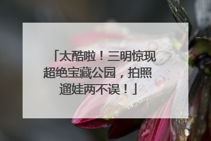 太酷啦！三明惊现超绝宝藏公园，拍照遛娃两不误！