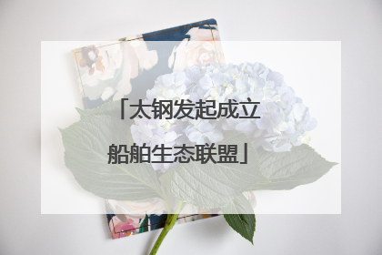 太钢发起成立船舶生态联盟