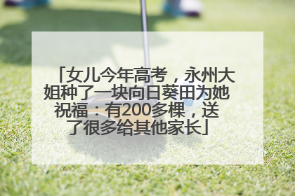 女儿今年高考，永州大姐种了一块向日葵田为她祝福：有200多棵，送了很多给其他家长