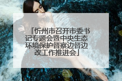 忻州市召开市委书记专题会暨中央生态环境保护督察边督边改工作推进会