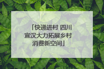 快递进村 四川宣汉大力拓展乡村消费新空间
