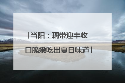 当阳：藕带迎丰收 一口脆嫩吃出夏日味道