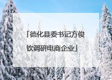 德化县委书记方俊钦调研电商企业