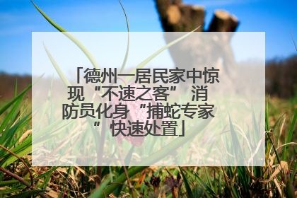 德州一居民家中惊现“不速之客” 消防员化身“捕蛇专家”快速处置