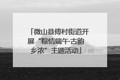 微山县傅村街道开展“粽情端午·古韵乡浓”主题活动