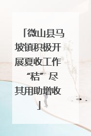 微山县马坡镇积极开展夏收工作 “秸”尽其用助增收