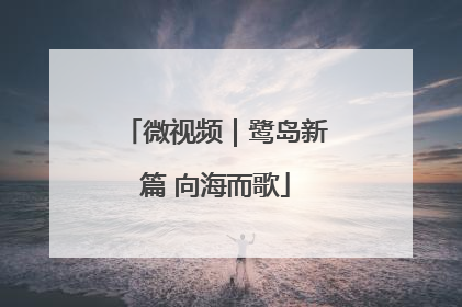 微视频｜鹭岛新篇 向海而歌