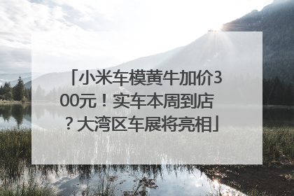 小米车模黄牛加价300元！实车本周到店？大湾区车展将亮相