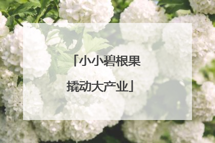 小小碧根果撬动大产业