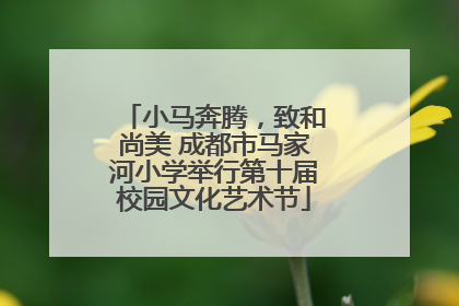 小马奔腾，致和尚美 成都市马家河小学举行第十届校园文化艺术节