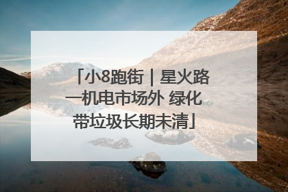 小8跑街｜星火路一机电市场外 绿化带垃圾长期未清