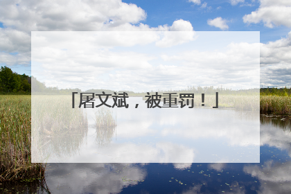 屠文斌，被重罚！