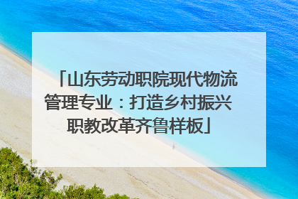 山东劳动职院现代物流管理专业：打造乡村振兴职教改革齐鲁样板