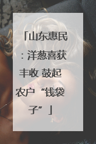 山东惠民：洋葱喜获丰收 鼓起农户“钱袋子”