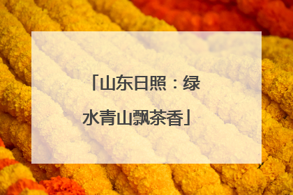 山东日照：绿水青山飘茶香