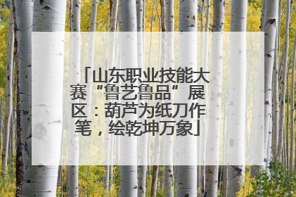 山东职业技能大赛“鲁艺鲁品”展区：葫芦为纸刀作笔，绘乾坤万象