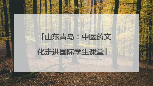 山东青岛：中医药文化走进国际学生课堂