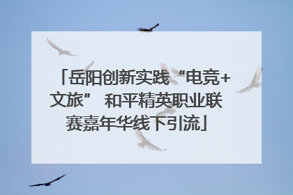 岳阳创新实践“电竞+文旅” 和平精英职业联赛嘉年华线下引流