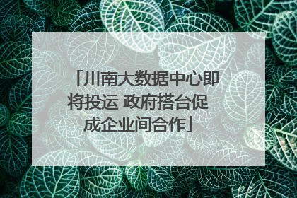 川南大数据中心即将投运 政府搭台促成企业间合作