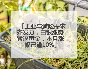 工业与避险需求齐发力，白银涨势紧逼黄金，本月涨幅已逾10%