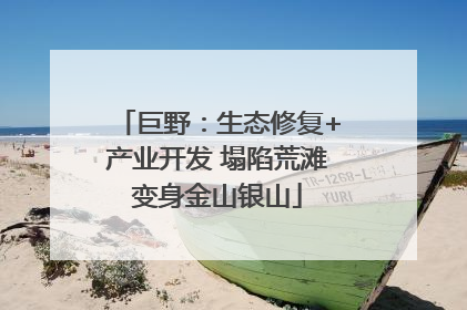 巨野：生态修复+产业开发 塌陷荒滩变身金山银山