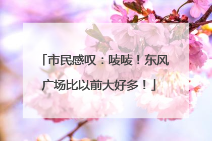 市民感叹：唛唛！东风广场比以前大好多！