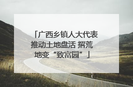 广西乡镇人大代表推动土地盘活 撂荒地变“致富园”