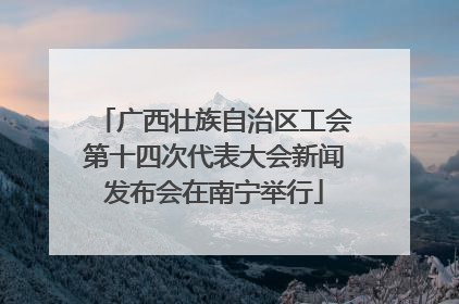 广西壮族自治区工会第十四次代表大会新闻发布会在南宁举行