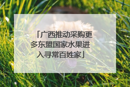广西推动采购更多东盟国家水果进入寻常百姓家