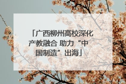 广西柳州高校深化产教融合 助力“中国制造”出海