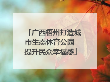 广西梧州打造城市生态体育公园 提升民众幸福感