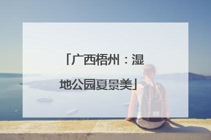 广西梧州：湿地公园夏景美