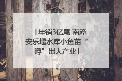 年销3亿尾 南漳安乐堰水库小鱼苗“孵”出大产业