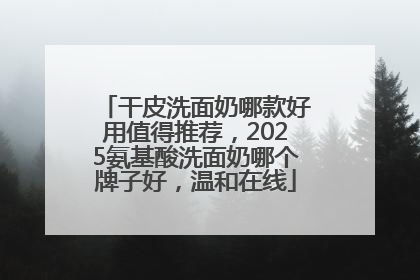 干皮洗面奶哪款好用值得推荐，2025氨基酸洗面奶哪个牌子好，温和在线