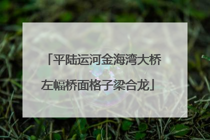 平陆运河金海湾大桥左幅桥面格子梁合龙