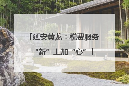 延安黄龙：税费服务“新”上加“心”