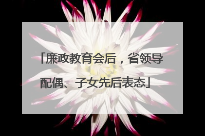 廉政教育会后，省领导配偶、子女先后表态