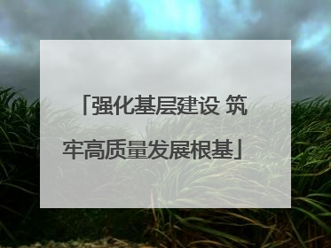 强化基层建设 筑牢高质量发展根基