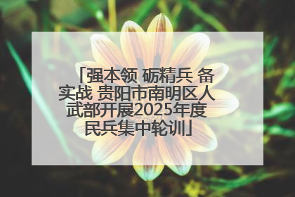强本领 砺精兵 备实战 贵阳市南明区人武部开展2025年度民兵集中轮训