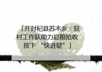 开封杞县苏木乡：驻村工作队助力夏粮抢收按下 “快进键”